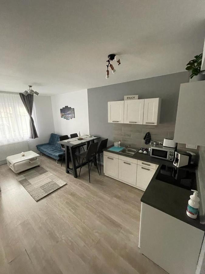 Phoenix Luxury Apartment Oradea Exterior foto